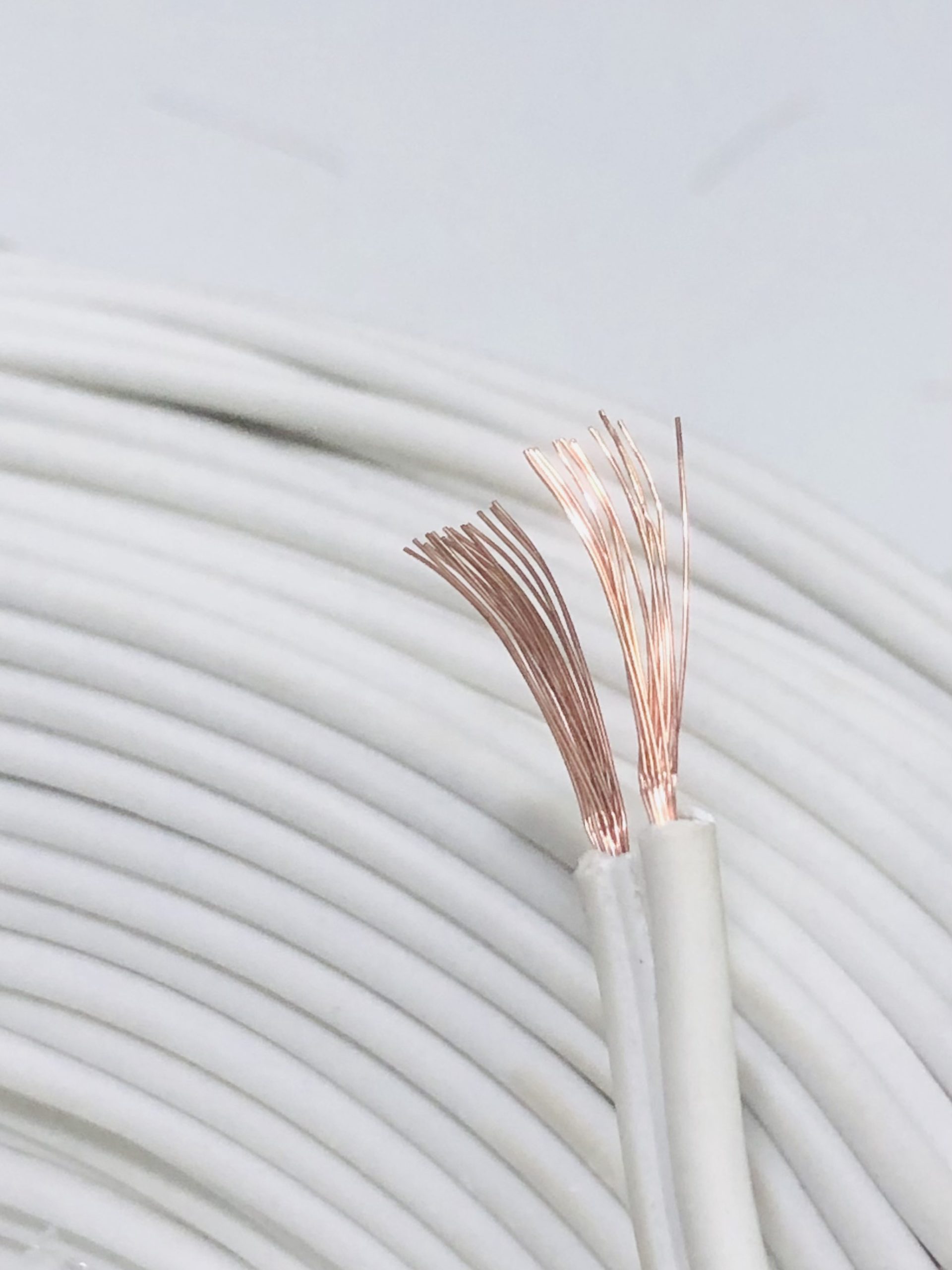 Fio Elétrico Paralelo Flexível 2x2,5mm com 100 Metros - Branco - Imagem 3